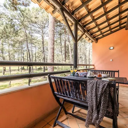 Pedro * Aroeira (Setubal)