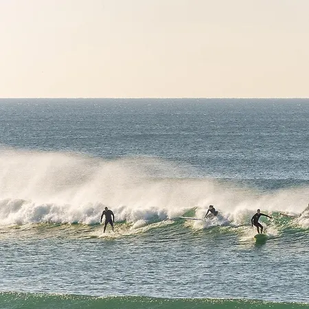 Pedro * Aroeira (Setubal)