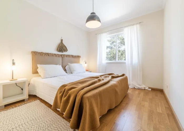 Pedro Aroeira (Setubal)