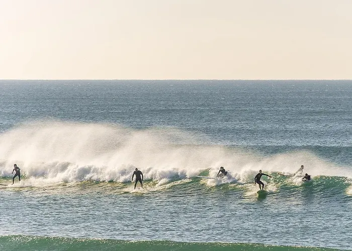 Pedro * Aroeira (Setubal)